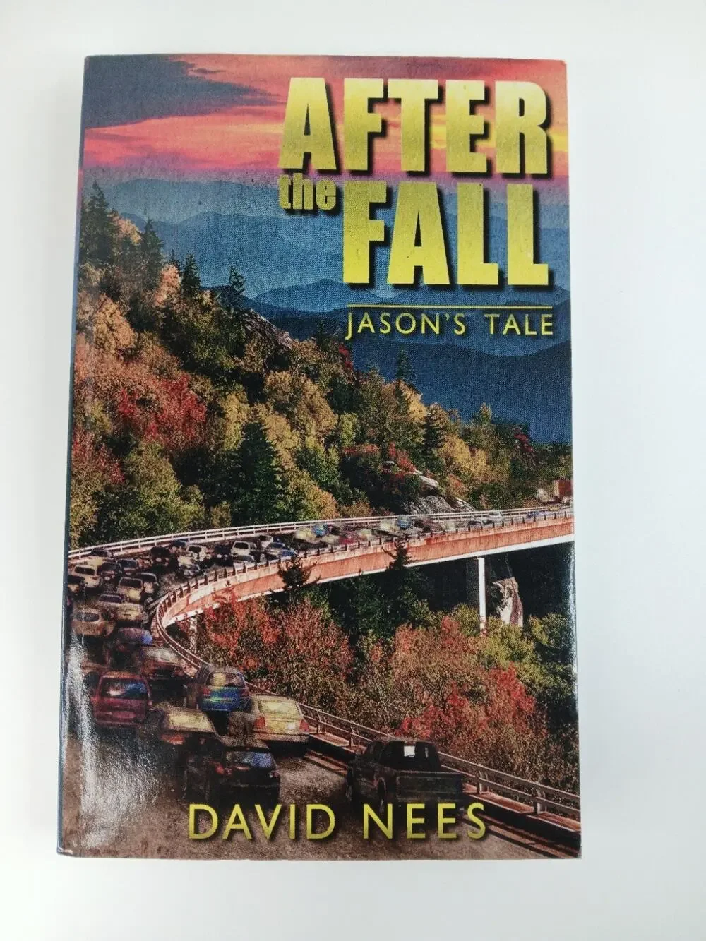 After the Fall: Jason's Tale David Nees PB 2019 Post-apocalyptic Survival